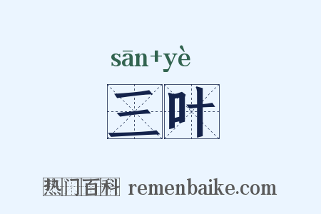 三叶是什么意思的图片
